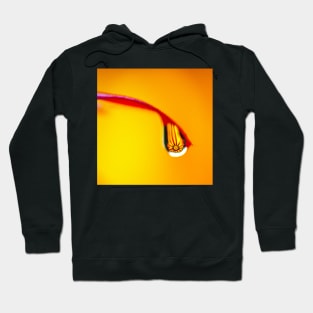 Droplet Hoodie